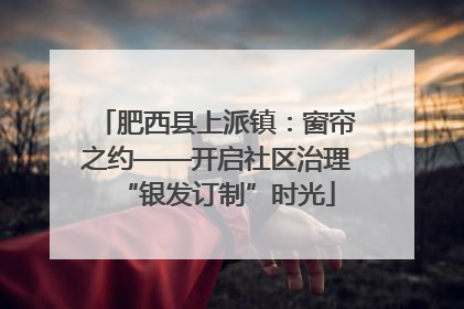 肥西县上派镇：窗帘之约——开启社区治理“银发订制”时光