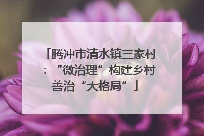腾冲市清水镇三家村：“微治理”构建乡村善治“大格局”