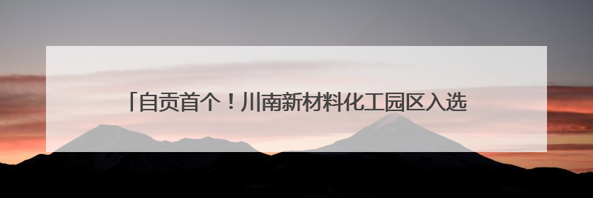 自贡首个！川南新材料化工园区入选“一园一策一图”国家级试点园区