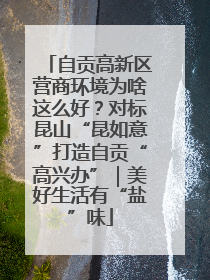 自贡高新区营商环境为啥这么好？对标昆山“昆如意”打造自贡“高兴办”｜美好生活有“盐”味