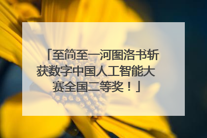 至简至一河图洛书斩获数字中国人工智能大赛全国二等奖！