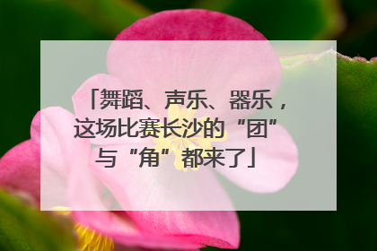 舞蹈、声乐、器乐，这场比赛长沙的“团”与“角”都来了