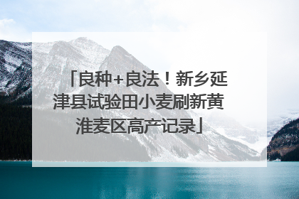 良种+良法！新乡延津县试验田小麦刷新黄淮麦区高产记录