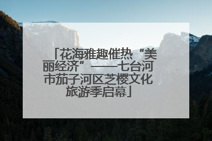 花海雅趣催热“美丽经济”——七台河市茄子河区芝樱文化旅游季启幕