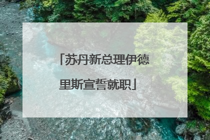 苏丹新总理伊德里斯宣誓就职