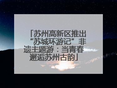 苏州高新区推出“苏城环游记”非遗主题游：当青春邂逅苏州古韵