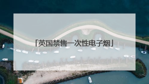 英国禁售一次性电子烟