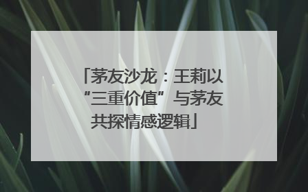 茅友沙龙：王莉以“三重价值”与茅友共探情感逻辑