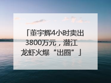 董宇辉4小时卖出3800万元，潜江龙虾火爆“出圈”