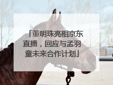 董明珠亮相京东直播，回应与孟羽童未来合作计划