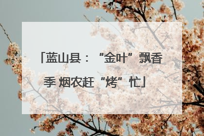 蓝山县：“金叶”飘香季 烟农赶“烤”忙