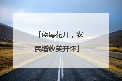 蓝莓花开，农民增收笑开怀