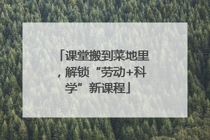 课堂搬到菜地里，解锁“劳动+科学”新课程
