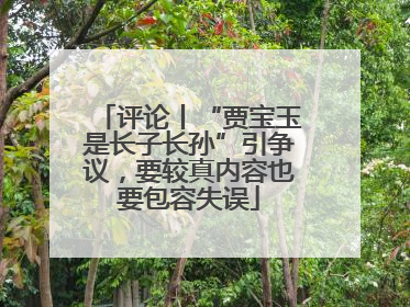 评论丨“贾宝玉是长子长孙”引争议，要较真内容也要包容失误