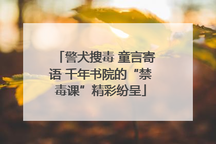 警犬搜毒 童言寄语 千年书院的“禁毒课”精彩纷呈
