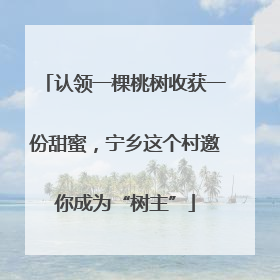 认领一棵桃树收获一份甜蜜，宁乡这个村邀你成为“树主”