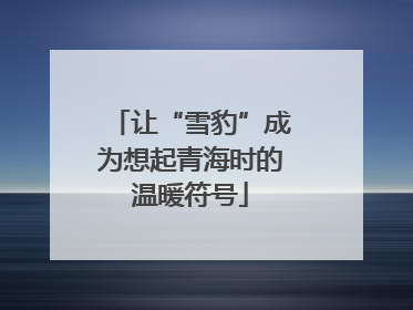 让“雪豹”成为想起青海时的温暖符号