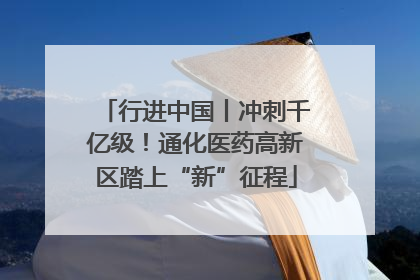 行进中国丨冲刺千亿级！通化医药高新区踏上“新”征程