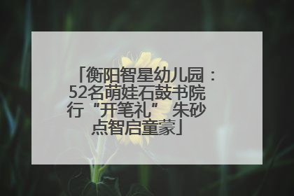 衡阳智星幼儿园：52名萌娃石鼓书院行“开笔礼” 朱砂点智启童蒙