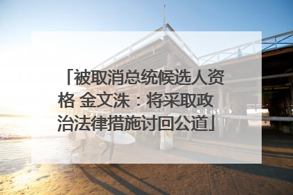 被取消总统候选人资格 金文洙：将采取政治法律措施讨回公道
