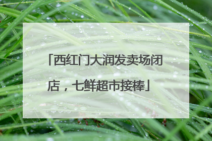 西红门大润发卖场闭店，七鲜超市接棒