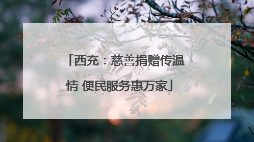 西充：慈善捐赠传温情 便民服务惠万家