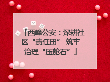 西峰公安：深耕社区“责任田” 筑牢治理“压舱石”