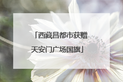 西藏昌都市获赠天安门广场国旗