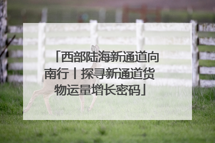 西部陆海新通道向南行丨探寻新通道货物运量增长密码