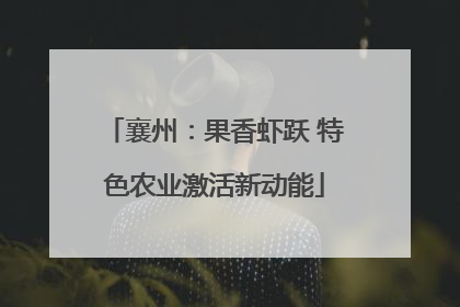 襄州：果香虾跃 特色农业激活新动能