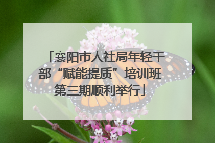 襄阳市人社局年轻干部“赋能提质”培训班第三期顺利举行