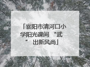 襄阳市清河口小学阳光课间 “武” 出新风尚