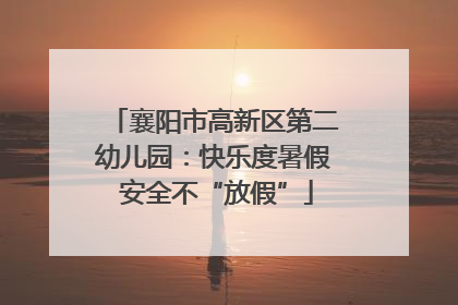 襄阳市高新区第二幼儿园：快乐度暑假 安全不“放假”