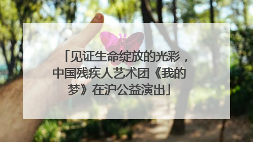 见证生命绽放的光彩，中国残疾人艺术团《我的梦》在沪公益演出