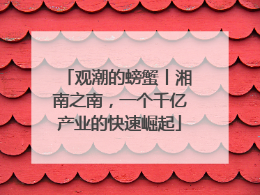 观潮的螃蟹丨湘南之南，一个千亿产业的快速崛起