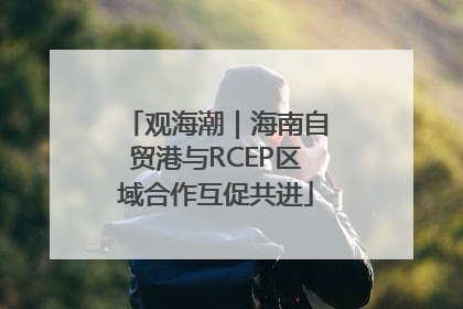 观海潮｜海南自贸港与RCEP区域合作互促共进