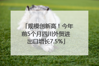 规模创新高！今年前5个月四川外贸进出口增长7.5%