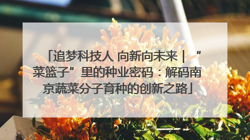 追梦科技人 向新向未来｜“菜篮子”里的种业密码：解码南京蔬菜分子育种的创新之路