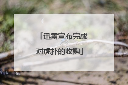 迅雷宣布完成对虎扑的收购