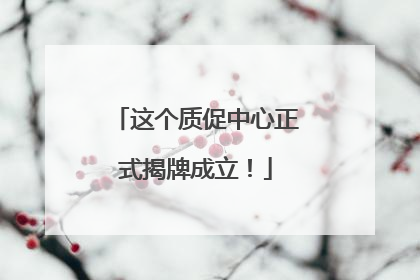 这个质促中心正式揭牌成立！