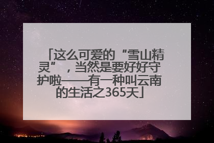 这么可爱的“雪山精灵”，当然是要好好守护啦——有一种叫云南的生活之365天