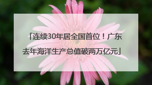 连续30年居全国首位！广东去年海洋生产总值破两万亿元