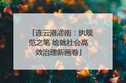 连云港灌南：执规范之笔 绘就社会高效治理新画卷