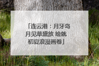 连云港：月牙岛月见草盛放 绘就初夏浪漫画卷