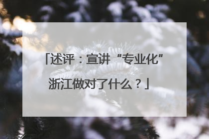 述评：宣讲“专业化” 浙江做对了什么？