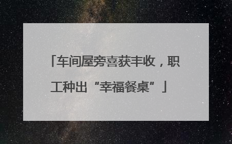 车间屋旁喜获丰收，职工种出“幸福餐桌”