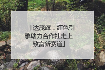 达茂旗：红色引擎助力合作社走上致富新赛道
