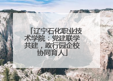 辽宁石化职业技术学院：党建联学共建，政行园企校协同育人