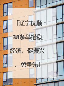 辽宁抚顺：38条举措稳经济、促振兴、勇争先