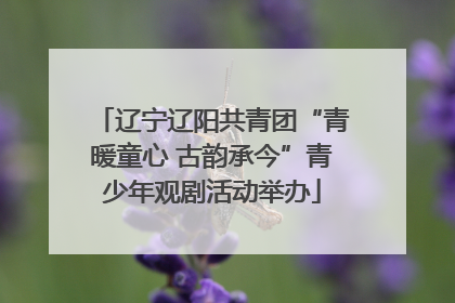 辽宁辽阳共青团“青暖童心 古韵承今”青少年观剧活动举办